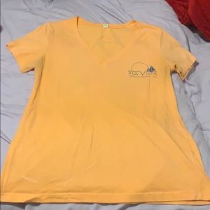 Lg Vneck tee